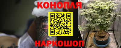 ГАЛЛЮЦИНОГЕННЫЕ ГРИБЫ Аргун