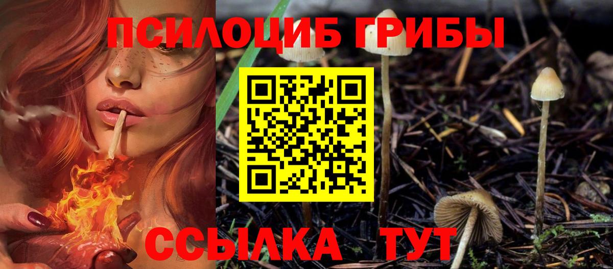 Псилоцибиновые грибы мицелий Белореченск