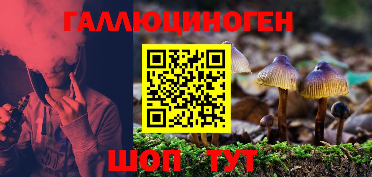 Псилоцибиновые грибы Psilocybe  Вход с VPN  Белореченск  Псилоцибиновые грибы мицелий 